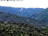 Castillo de Torre Alver. Desde la Cimbarra - Aldeaquemada