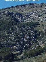 Barranco de las Lanchas. 