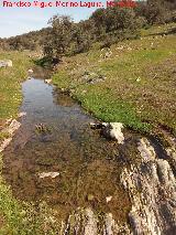 Arroyo del Vadillo. 