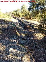 Cortijo del Malagueo. Arroyo canalizado