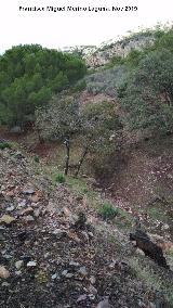 Barranco de la Cueva. 