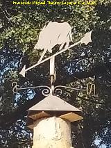 Veleta. Caracol Fegillenperez - Rus