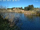 Laguna de Burguillos. 