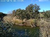 Laguna de Burguillos. 