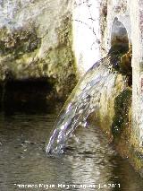 Fuente del Comendador. Cao