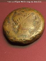 Obulco. Moneda Unidad de Obulco. Anverso de Tanit. Museo Arqueol�gico Provincial de Ja�n