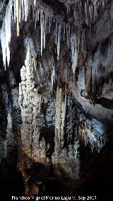Cueva de los Murcilagos
