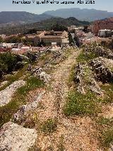 Camino del Cerro Tambor. 