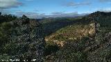 Collado de la Ginesa. 