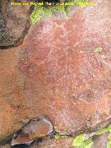 Pinturas rupestres de la Graja de Miranda I. rbol