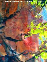 Pinturas rupestres de la Graja de Miranda I. Tratada con Dstretch