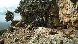 Pinturas rupestres de la Graja de Miranda I. Abrigo