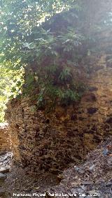 Molino del Batn. 