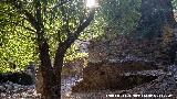 Molino del Batn. 