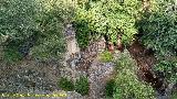 Molino del Batn. 