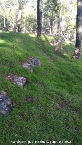 Palacio Musulmn de Santa Catalina. Muralla este