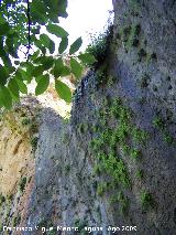 Sendero de Huelga Utrera a Poyotello. Cascada