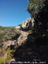 Cueva de los Arcos. 