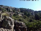 Cueva de los Arcos. 