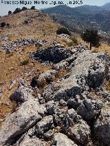 Torre Pedregosa. 