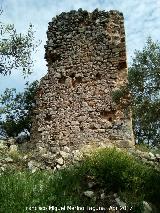 Castillo del Poyato. 