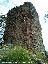 Castillo del Poyato. 