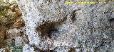 Casas Cueva del T�o Rat�n. 