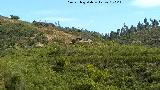 Dolmen del Pozuelo I. 