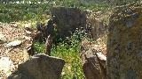 Dolmen del Pozuelo II. 