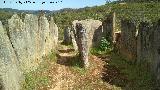 Dolmen del Pozuelo IV. 