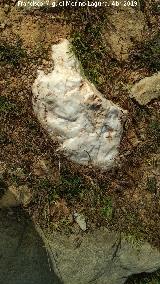 Dolmen del Pozuelo IV. Piedra blanca del anillo perimetral