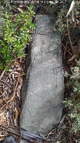 Dolmen de El Labradillo. Ortostato