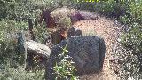 Dolmen de El Labradillo. 