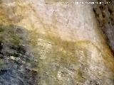 Pinturas rupestres y petroglifos de la Cueva de Doa Trinidad. Animal Caballo?