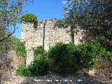 Ermita del Pla de Petracos. Lateral