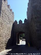 Puerta del Carmen. 