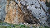 Cueva del Portillo. 