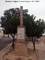 Cruz del Sur