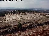 Torreparedones. Foro. 