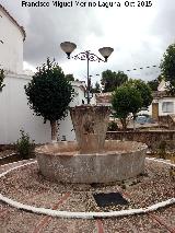 Fuente de Veracruz. 