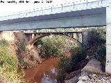 Puente Mocho. En primer trmino el nuevo puente y al fondo el Puente Mocho