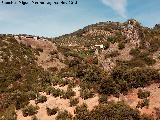 Barranco del Arroyo de la Piedra. 