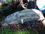 Molino del Rincn. Piedra de molino