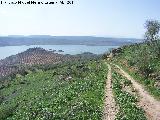 Pantano de Giribaile. 