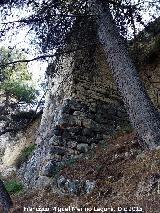 Castillo Viejo de Santa Catalina. Torren de la Rampa