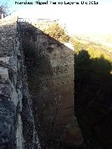 Castillo Viejo de Santa Catalina. Torren de Tapial. 