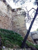 Castillo Viejo de Santa Catalina. Torren de Tapial. 