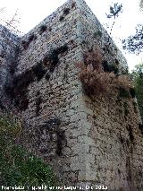 Castillo de Abrehuy. Torren del Patio III