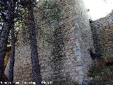 Castillo de Abrehuy. Torren del Patio I. 