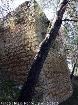 Castillo de Abrehuy. Torren Sur I